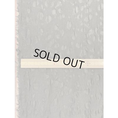 画像3: 生地：綿サッカー（黒）