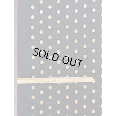 画像7: 生地：水玉カット刺繍