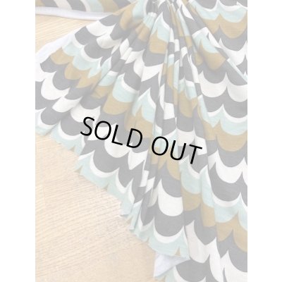 画像5: 生地：鱗ボーダー柄天竺ニット（生成）