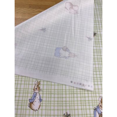 画像5: 生地：ピーターラビットチェック柄防炎コーティングポリ（緑色）