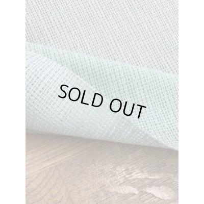 画像4: 生地：スタンラッセル綿70％ナイロン30％（ミントグリーン）