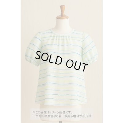 画像1: 生地：ポリエステル綿ファンシーヤーンボーダー（グリーン系）