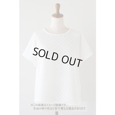 画像1: 生地：綿100％ 綿サークルレース生地（ホワイト）