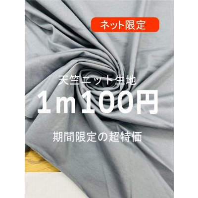 画像1: 生地：綿100％天竺ニット（ブルーグレー）