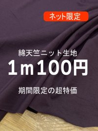 生地：綿100％天竺ニット（パープル）