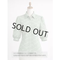 生地：綿100％小花柄刺繍風プリント ギンガムチェック（グリーン）