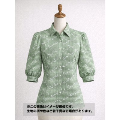 画像1: 生地：綿100％小花柄刺繍風プリント ギンガムチェック（グリーン）