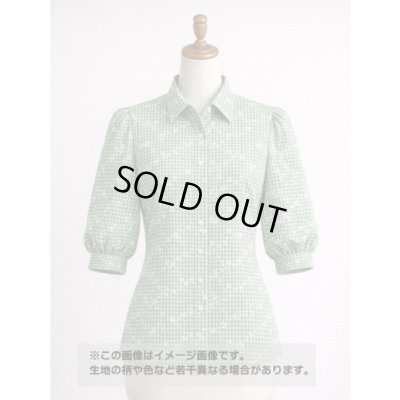 画像1: 生地：綿100％小花柄刺繍風プリント ギンガムチェック（グリーン）