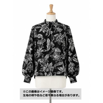 画像1: 生地：ポリエステル100%ボタニカルプリント ナチュラルクロス（ブラック）
