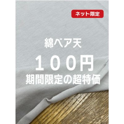 画像1: 生地：綿2way薄手ベア天竺ニット（グレージュ）