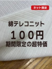 生地：綿系 テレコニット（白）
