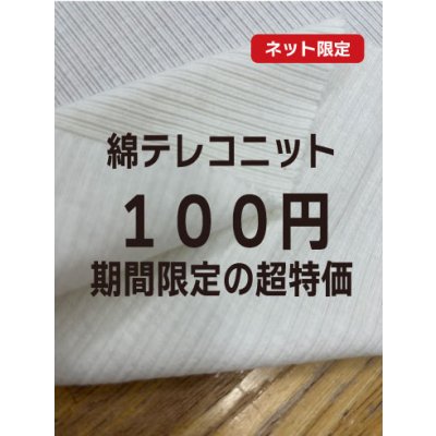 画像1: 生地：綿系 テレコニット（白）