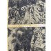 画像3: 生地：ボタニカル葉っぱ柄リネン（ベージュ／茶） (3)