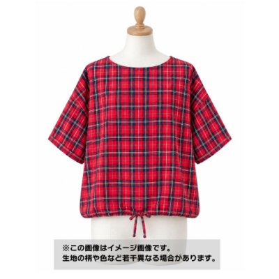画像1: 生地：綿100％　カントリーチェック柄（赤／緑／紺）