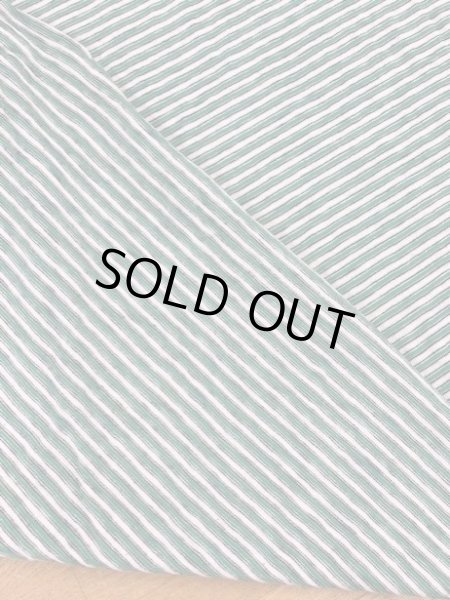 画像3: 生地:綿細ボーダー天竺(グリーン系) (3)