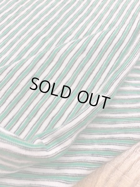 画像4: 生地:綿細ボーダー天竺(グリーン系) (4)