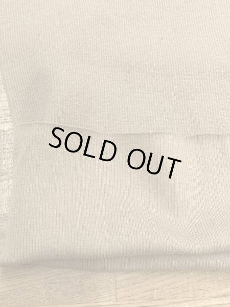 画像3: 生地:綿スパンテレコ(ベージュ) (3)