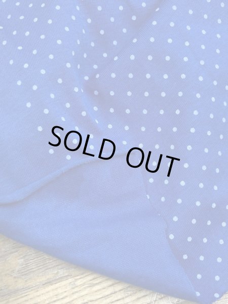 画像4: 生地:綿100%水玉柄天竺ニット(ブルー/白) (4)