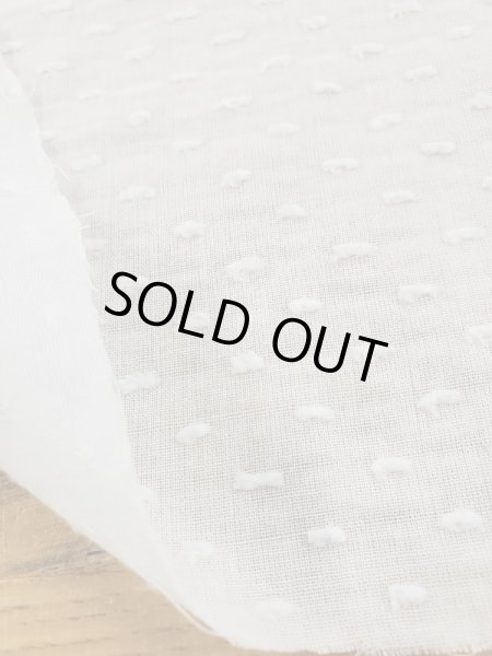 画像1: 生地：水玉柄コットンドビー織（グレージュ） (1)