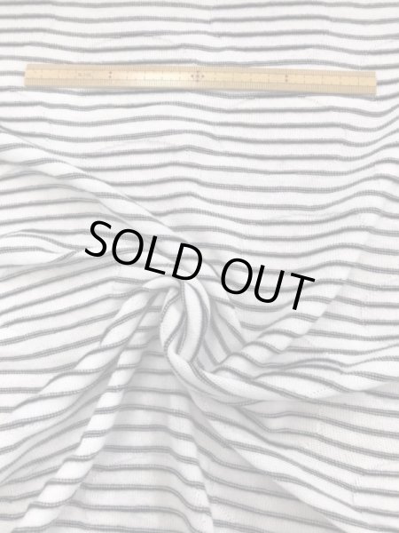 画像2: 生地：水玉ジャガードボーダー (2)