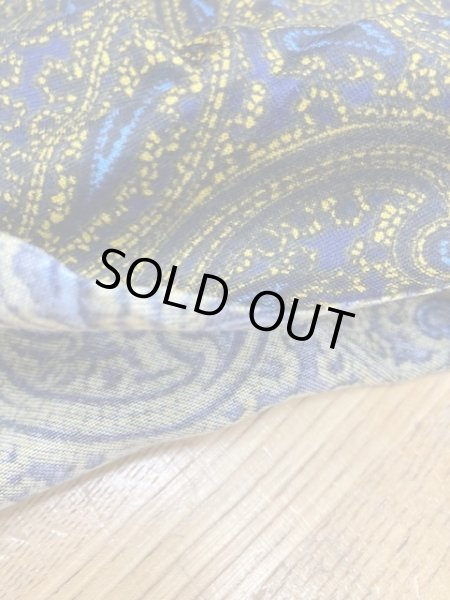 画像4: 生地:ペイズリー柄綿ストレッチ天竺 (4)