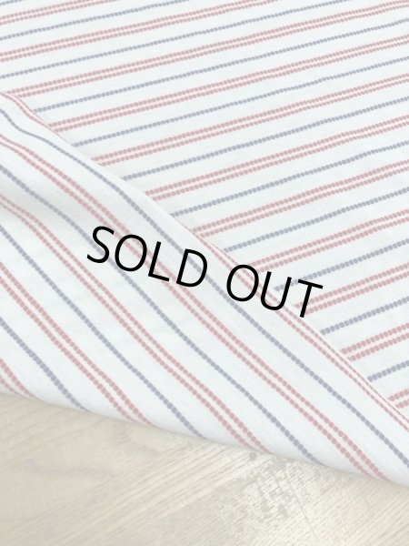 画像3: 生地:点点ボーダー柄天竺ニット(生成) (3)