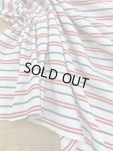 画像5: 生地:点点ボーダー柄天竺ニット(生成) (5)