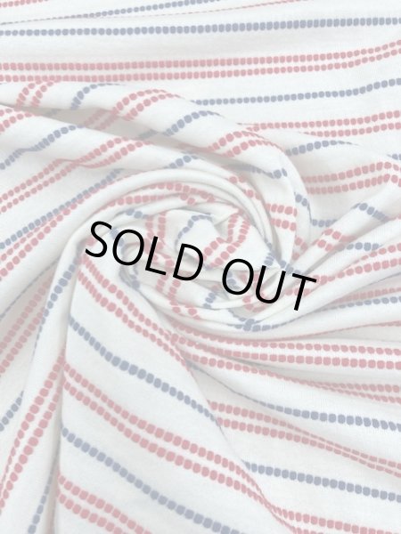 画像6: 生地:点点ボーダー柄天竺ニット(生成) (6)