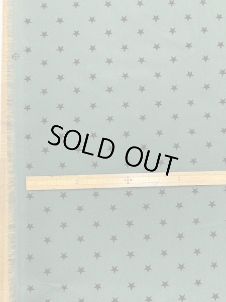 画像3: 生地：星柄ポリエステルデシン（グリーン×ブラック） (3)