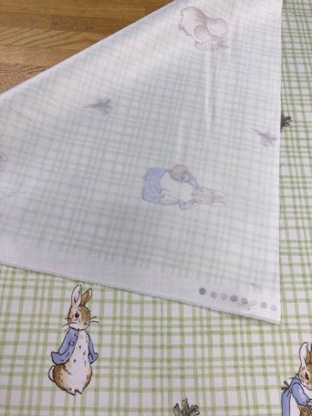 画像5: 生地:ピーターラビットチェック柄防炎コーティングポリ(緑色) (5)