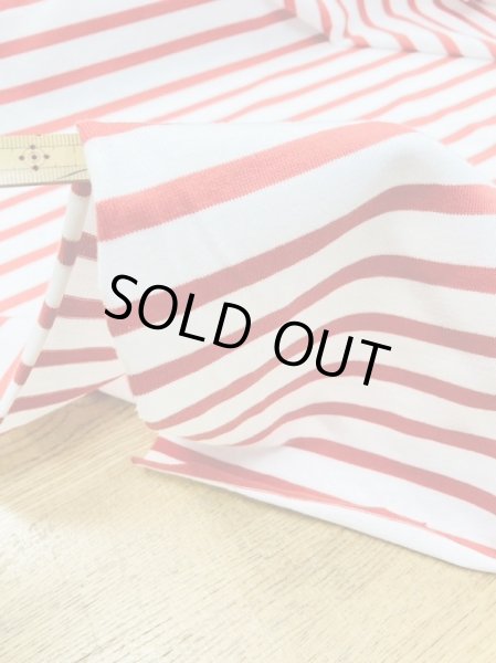 画像5: 生地:ボーダー柄天竺ニット(白/赤) (5)