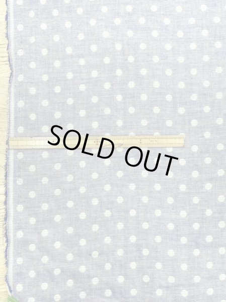 画像2: 生地:ボーダードット柄ダブルガーゼ(ブルー/ベージュ) (2)