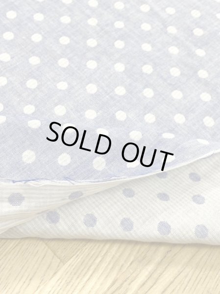 画像5: 生地:ボーダードット柄ダブルガーゼ(ブルー/ベージュ) (5)
