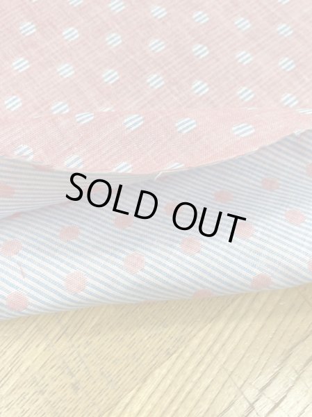 画像5: 生地:ボーダードット柄ダブルガーゼ(ピンク/水色) (5)
