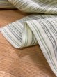 画像4: 生地：綿100％ボーダー柄（グリーン系） (4)