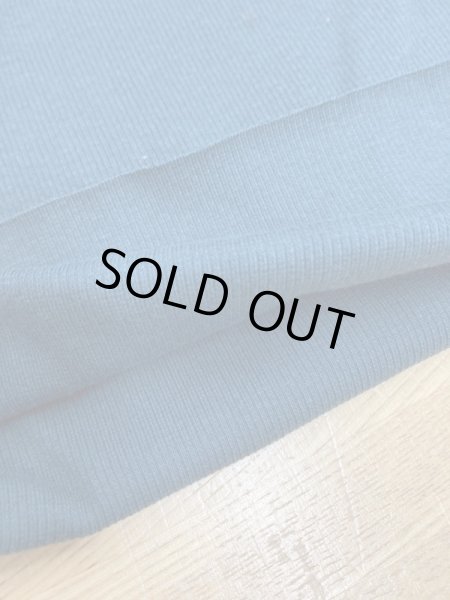 画像4: 生地:綿スパンテレコ((青緑)) (4)