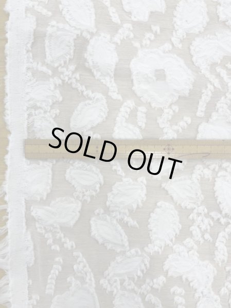 画像2: 生地：綿100％刺繍レース（白） (2)