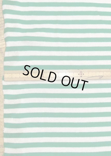 画像2: 生地:綿100%ボーダー柄天竺ニット(オフ/グリーン) (2)