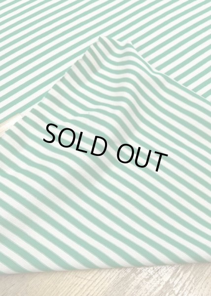 画像3: 生地:綿100%ボーダー柄天竺ニット(オフ/グリーン) (3)