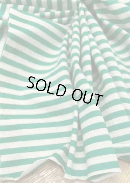 画像5: 生地:綿100%ボーダー柄天竺ニット(オフ/グリーン) (5)