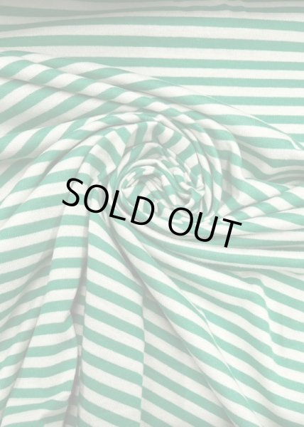 画像6: 生地:綿100%ボーダー柄天竺ニット(オフ/グリーン) (6)