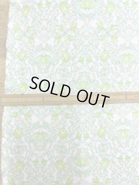 画像3: 生地:綿100% 花柄フライスニット(オフホワイト×グリーン) (3)