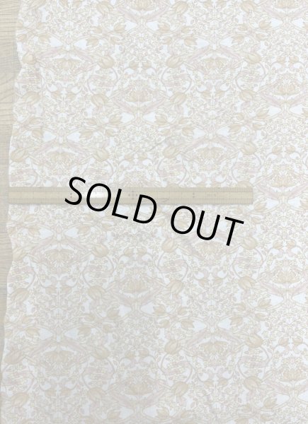 画像2: 生地:綿100% 花柄天竺ニット(オフホワイト×オレンジピンク) (2)