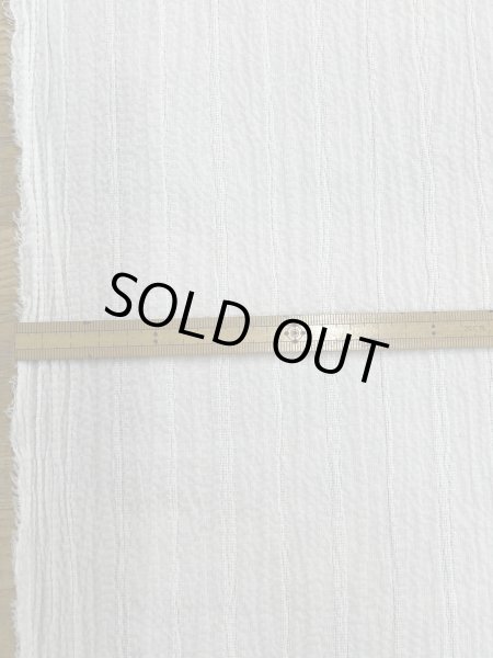 画像2: 生地:コットンメッシュシャーリング(オフ白) (2)