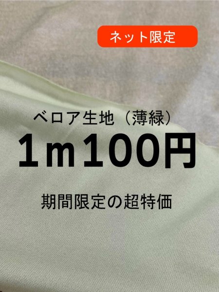 画像1: 生地：ポリエステル綿 ベロア（薄緑） (1)