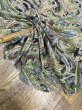 画像5: 生地：ポリエステル100％ ペイズリー柄プリント（グリーン系） (5)
