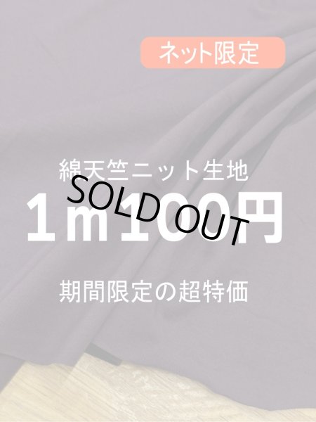 画像1: 生地：綿100％天竺ニット（パープル） (1)