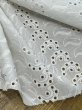 画像4: 生地：ポリ綿両耳スカラップ刺繍レース（白） (4)