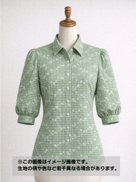 画像1: 生地：綿100％小花柄刺繍風プリント ギンガムチェック（グリーン） (1)