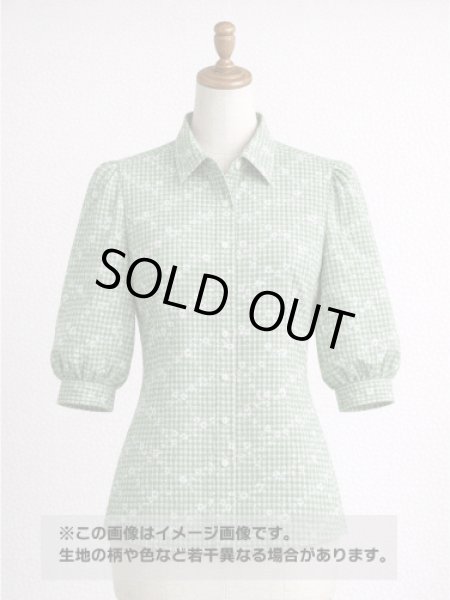 画像1: 生地：綿100％小花柄刺繍風プリント ギンガムチェック（グリーン） (1)